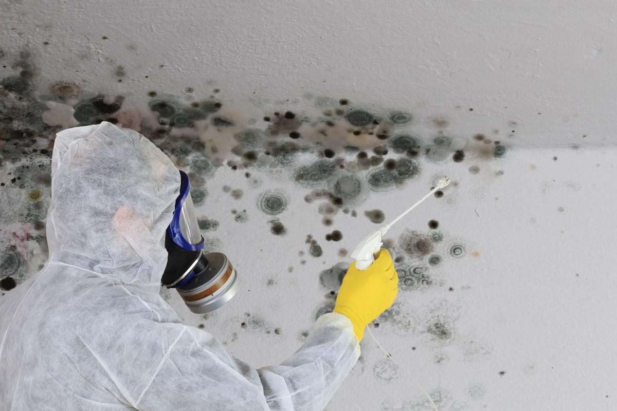 cleaner in protective gear spraying black mold on a ceiling